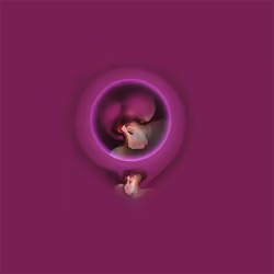 Psychic mirror