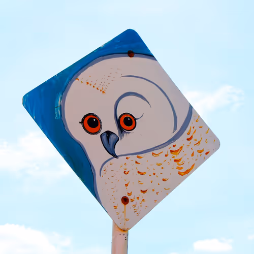 72956552371939263149680114795764900729888036276229086091707581201013050179585