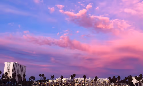 Item #9120212916765116150568675881713414537423652719211967924258503636393402564609 Media