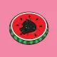 56689923052498072444115958285964165260066724654369907368506476429296648847361