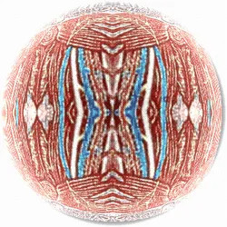 50402367652437759055643711142481234503889899147021562695824348544303787671553