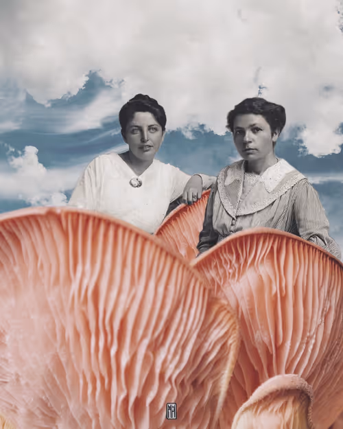 Item #108668817936045691524747504051771570061315957677408439167865728265121909702657 Media