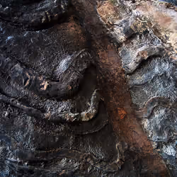 Bones of Earth