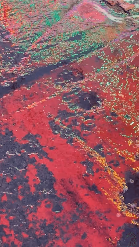 Item #62402000334580523921237358418718502457721815832787791947048085113377178779649 Media