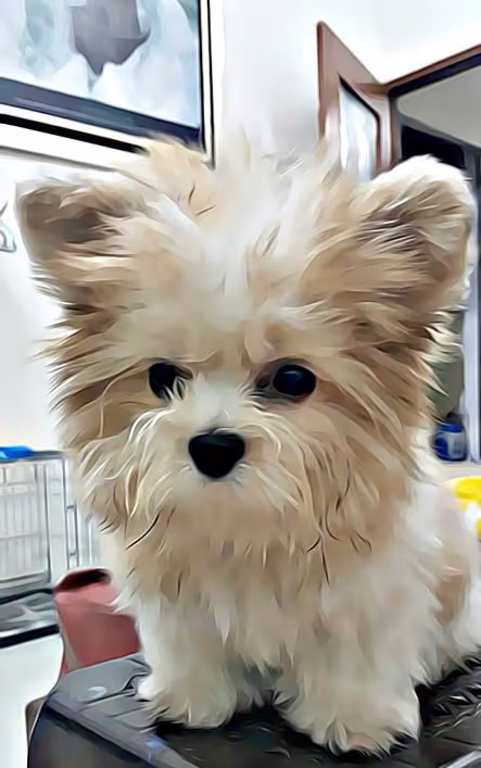 Item #21607923784025543658024067331009769919395041958272689574271021121061389336577 Media