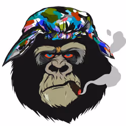 Baboon view