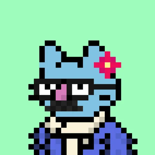 24px