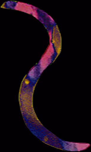 Item #25134024236616184979521667367921431367203659848766423059433089155834583187556 Media