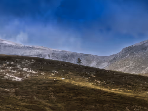 Tranquility of Nature