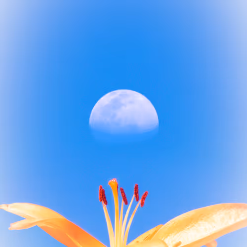 A Journey To The Moon