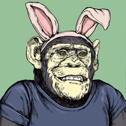 Primate Ape