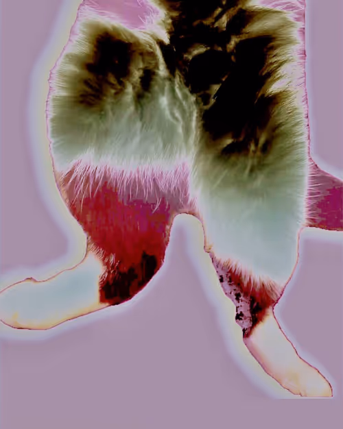 Item #102825742346471317200430870299384798244054491024687449036004975678718832803850 Media