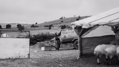 Item #105419836477870166218084367187945295415910515977306165573773810903234069397505 Media