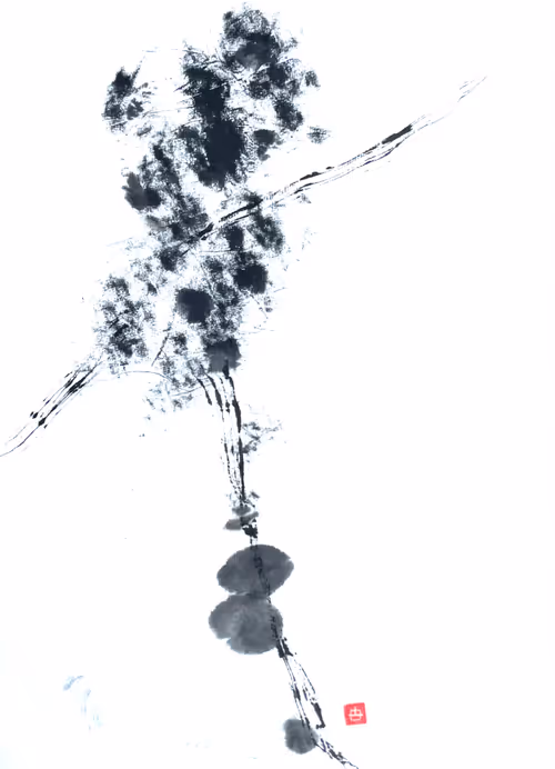 Item #85287633778568224854249724770997392266845098345306706215284281583883167727617 Media