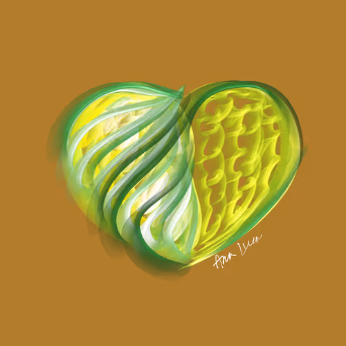 Item #9474611545894584964435841342945166491517591874394890721650365137974791766017 Media