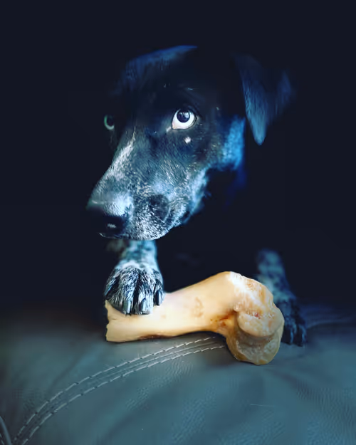 Item #36024123731591428906178359745368074913234078847180873880316248102244133634049 Media