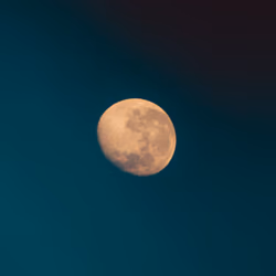Selene 7