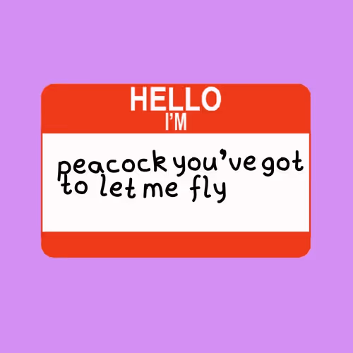 Item #81091059863620968424104068893413792417863245336822363513165177522439111835649 Media