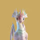 86606051518444693708162478442113645779576116202220122339318971966473623306241