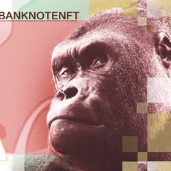 Banknote NFT - APE Note BNFT1