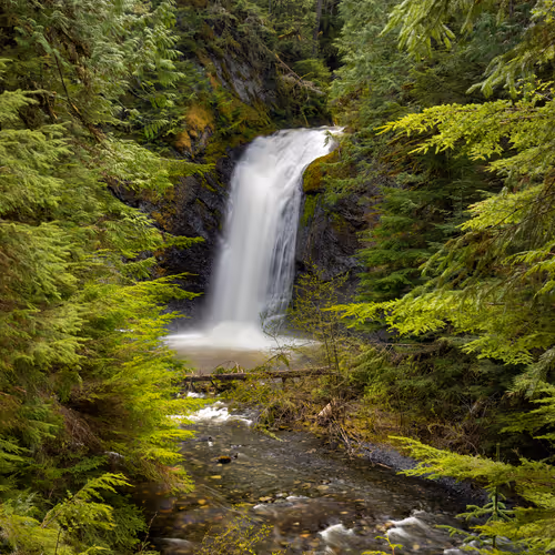 Item #11717075435639617062538583051799023982813876484308334407242089884382555799553 Media