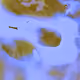1367146365589577268505898208051550583446184509312702553244870309817809371137