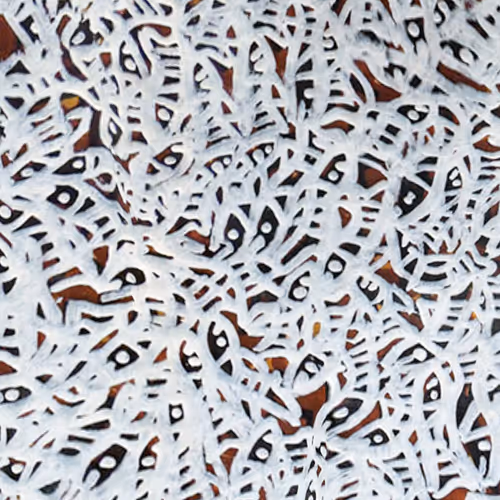 Item #6135615210838207181460231726623395431657623942646172617288677122996101447681 Media