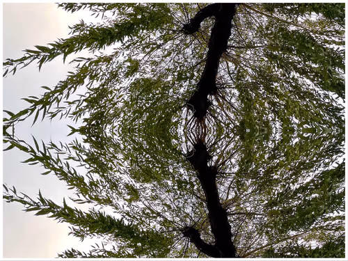 Item #39842122399831876294969041227459341578040195517803177153867578409931971231745 Media