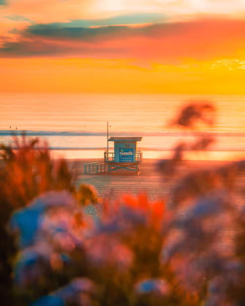 Item #91501497008151221125596935841676000512183505427004855270702190581851243937793 Media