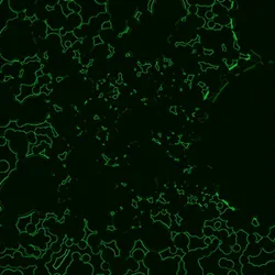 87353216888022099964370645107572389874129925836752805213271095442968554766337