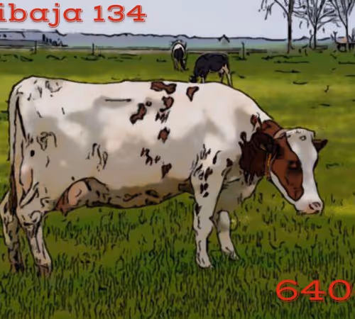 106168068867162485094593885732241547229015412580842941571810197546144366592001