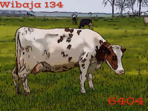 Item #106168068867162485094593885732241547229015412580842941571810197546144366592001 Media