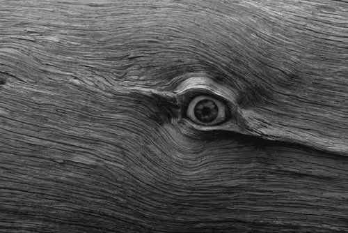 Donna Martinez 10/10 Limited Editions