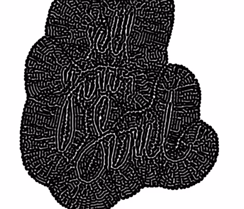 Item #107055677946812926086075001272537255579010933331324836119604535557392615604225 Media