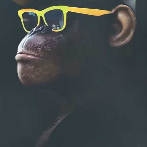 The Three Wise Apes
