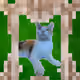 26436800223043400627167373388686687589495884302086043925268175995836427141121