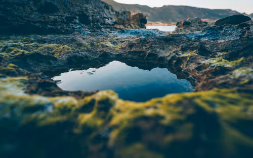 Item #96927138123694371990624378573919196862016558693078256504060925343744089128961 Media