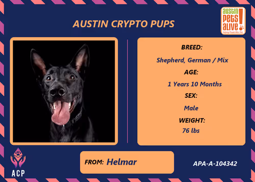 Item #17951378556605612276483806045649535824451571419947225201384628592015849816065 Media