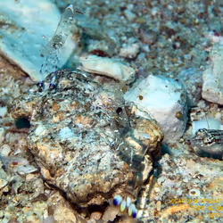 80965803268169370603932631570667161375508893671094224909166964153500714401793