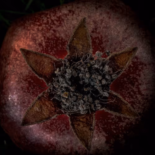 Item #82086394152813496729852745644400301310809698688948886085589871383437474004993 Media