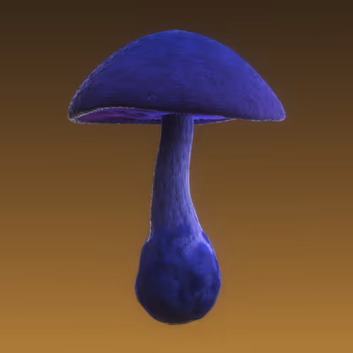 Item #95653877050150474555742155054455970472164202465768371638498213976683625578497 Media