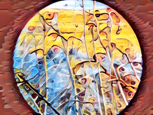 Item #68103433958729647441734292428991292973430553462390996571560802148299793498113 Media