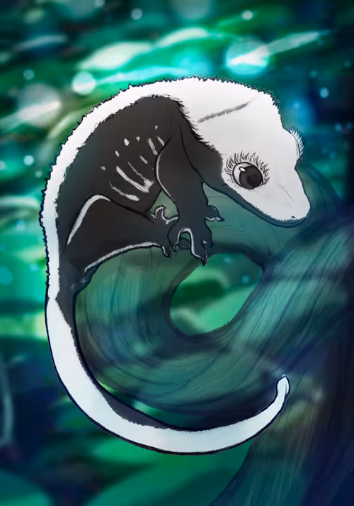 Item #23546686719633506406095790157609111049750244779414073605876924967065577586689 Media