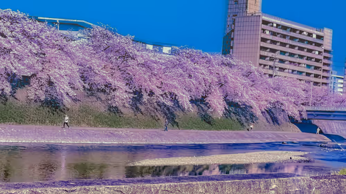 Item #26309083901545567454709889211670292098627789932924015051489478893204727136261 Media