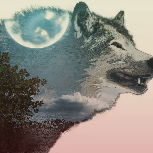 Untitled Collection #48791319 - old