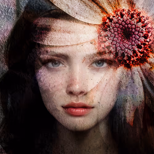 Item #22028343110864514230663045357516860302548957425886044697786252236231219871745 Media