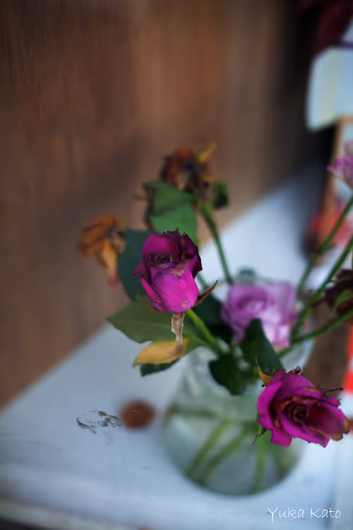 Item #111326101478107214990251795731047965840392207690526379209547236993881784451073 Media