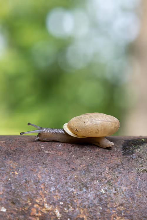 Item #19684374529110288056520570276703370007863893692966726326193838161374371381249 Media