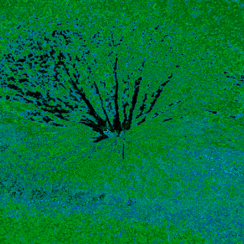 Item #38748192286267356930689689992324455160612969586483070519053316892942472839169 Media