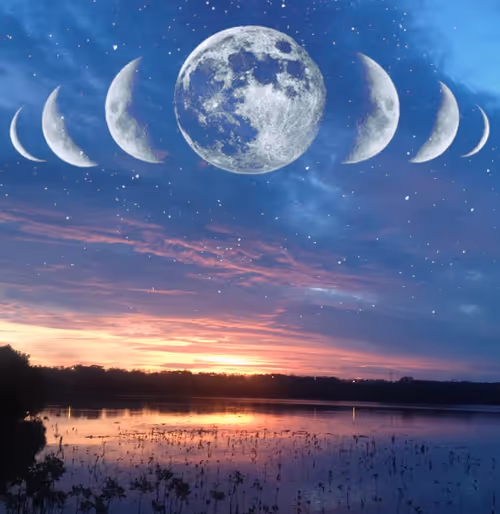 Item #10693134947180919552057877756495777501916091641717259944292225036599135567873 Media